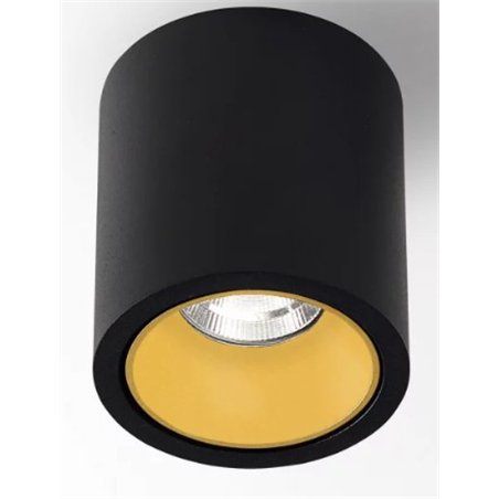 Delta Light R HE Ceiling lamp