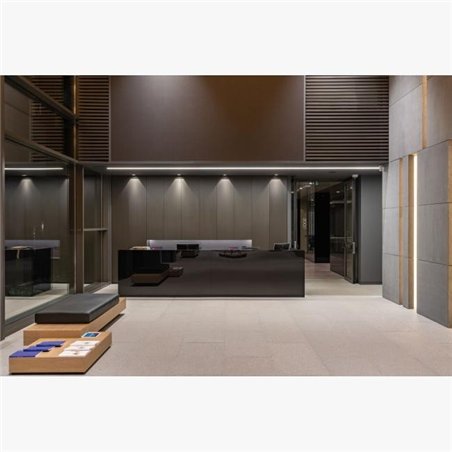 Delta Light CARREE TRIMLESS OK LED Recessed spot