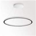 Delta Light INFORM R1+ CS DOWN DIM5 Suspension lamp