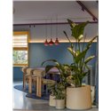 Delta Light Cuppa C suspension lamp