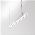 Delta Light One-And-Only P20 Down-Up suspension lamp