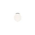 Wever & Ducré Dro 1.0 Ceiling lamp