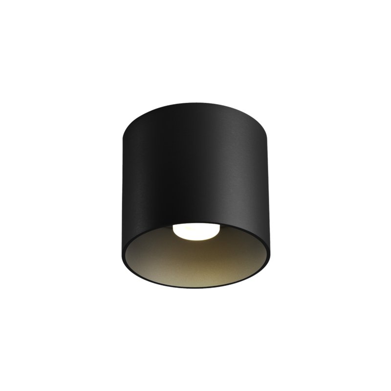 Wever & Ducré Ray 1.0 PAR16 Deckenlampe