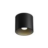 Wever & Ducré Ray 1.0 PAR16 Deckenlampe
