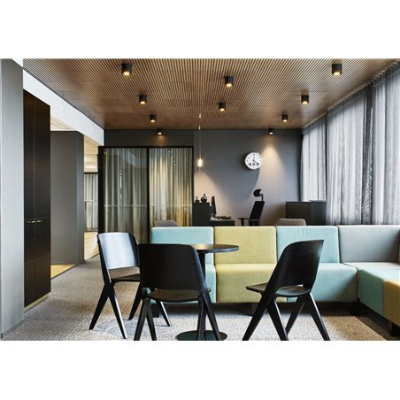 Wever & Ducré Ray 1.0 PAR16 Ceiling lamp