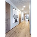 Wever & Ducré Roby IP44 3.5 Ceiling lamp