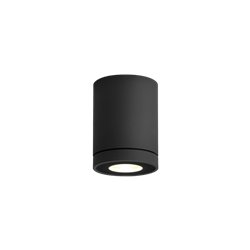 Wever & Ducré Tube 1.0 PAR16 Ceiling lamp
