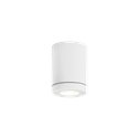 Wever & Ducré Tube 1.0 PAR16 Ceiling lamp
