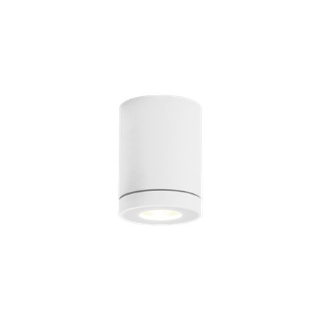 Wever & Ducré Tube 1.0 PAR16 Ceiling lamp
