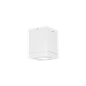 Wever & Ducré Tube Carré 1.0 PAR16 Ceiling lamp