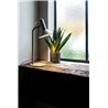 Wever & Ducré Roomor Table 1.1 Tischlampe