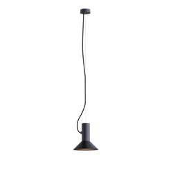 Wever & Ducré Roomor Cable 1.1 E27 Suspension lamp
