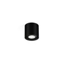 Wever & Ducré Ray Mini 1.0 PAR16 Ceiling lamp