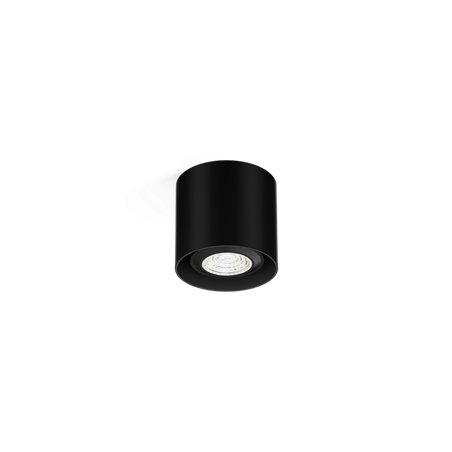 Wever & Ducré Ray Mini 1.0 PAR16 Ceiling lamp