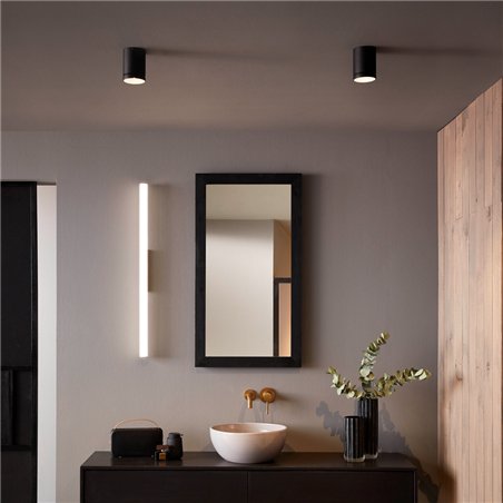 Wever & Ducré Taio Round IP65 Surface 1.0 Ceiling lamp