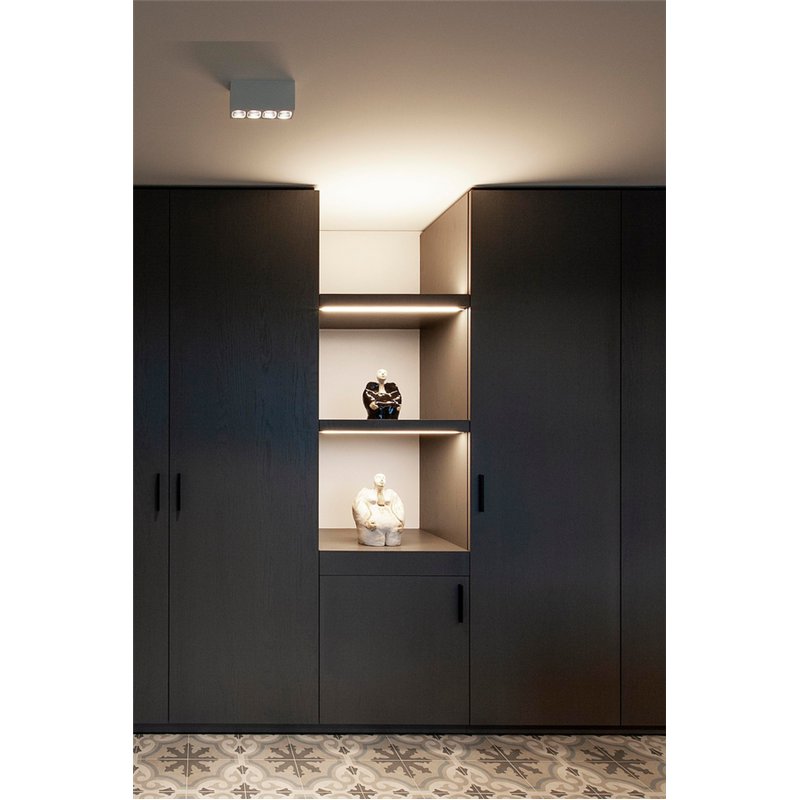 Wever & Ducré Pirro Spot Surface 4.0 Deckenlampe