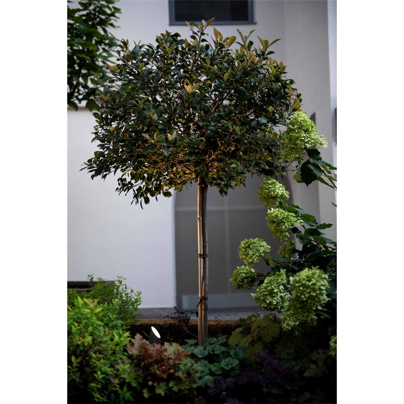 Wever & Ducré Stipo 1.0 Bodenlampe