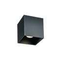 Wever & Ducré Box Outdoor 1.0 Ceiling lamp