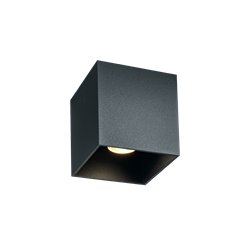 Wever & Ducré Box Outdoor 1.0 Ceiling lamp