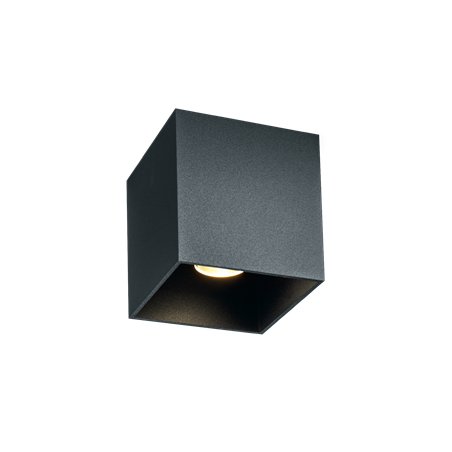 Wever & Ducré Box Outdoor 1.0 Ceiling lamp