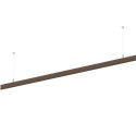 Wever & Ducré Strex Track Profile Surf / Susp Q 2M