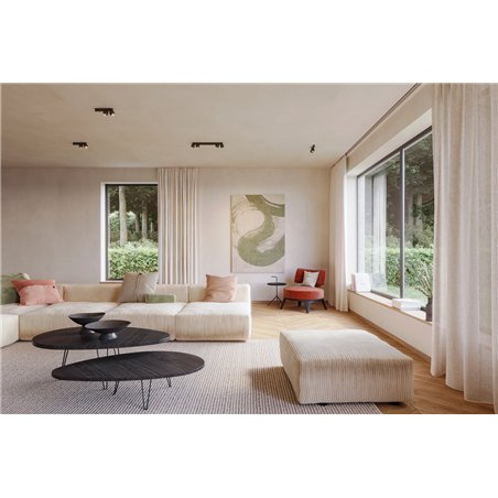 Wever & Ducré Leca Surface 1.0 Ceiling lamp