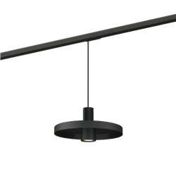 Wever & Ducré Odrey On Track 1.2 PAR16 Track lighting fixture