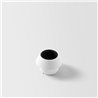 Modular Light Cone 44