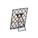 SELETTI Toiletpaper Mirror 22,5x29,5 cm - Snakes