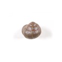 SELETTI Snail hanger 1 - sleeping - color
