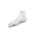 SELETTI Memorabilia Mvsevm Porcelain male foot
