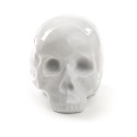 SELETTI Memorabilia porcelain my skull