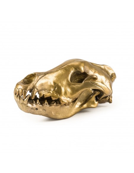 SELETTI Diesel Wunderkammer "Diesel-Wolf Skull" Aliminium wolf skull