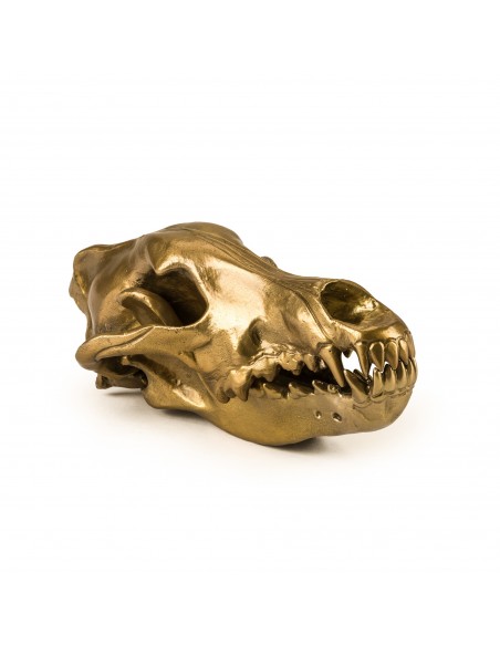 SELETTI Diesel Wunderkammer "Diesel-Wolf Skull" Aliminium wolf skull