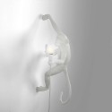 SELETTI The Monkey Lamp Hanging Right Hand - Indoor