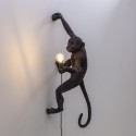 SELETTI The Monkey Lamp Hanging Right Hand - Outdoor