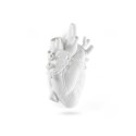 SELETTI Vase en porcelaine "Love In Bloom" (big)