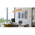 SECTO DESIGN Owalo 7000 Pendant