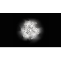 SLAMP Hanami Ceiling lamp / Wall Lamp